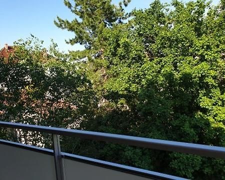Appartement Foch A קולמר מראה חיצוני תמונה