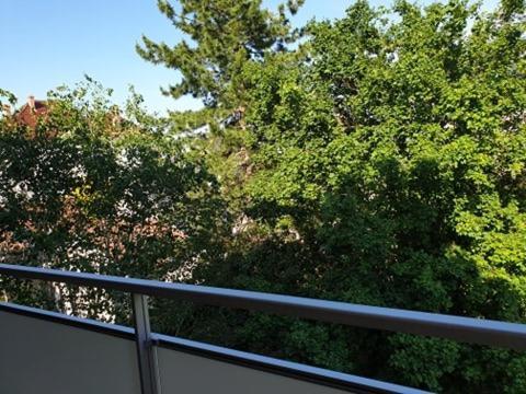 Appartement Foch A קולמר מראה חיצוני תמונה
